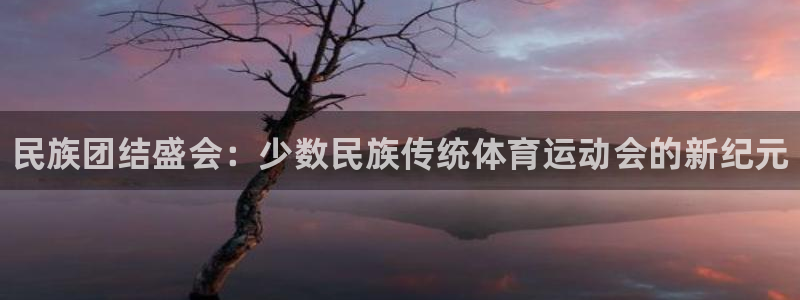 vsport体育官方正版app集团logo:民族团结盛会:少