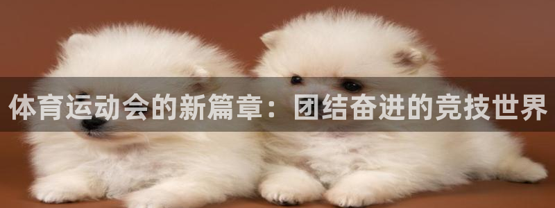 vsport体育官网下载招商电话地址:体育运动会的新篇章:团