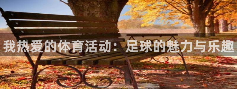 vsport体育官方正版app神州:我热爱的体育活动:足球的