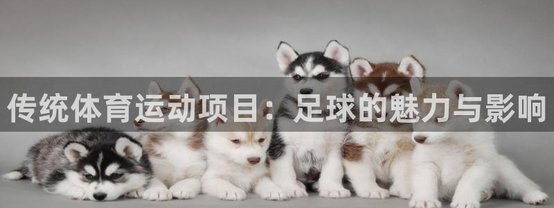 vsport体育官方正版app官方:传统体育运动项目:足球的